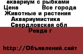 аквариум с рыбками › Цена ­ 1 000 - Все города Животные и растения » Аквариумистика   . Свердловская обл.,Ревда г.